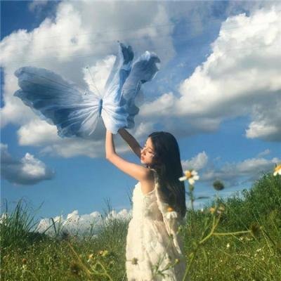 毛骗 在线观看